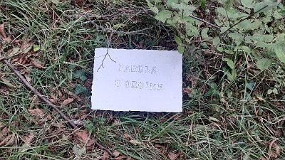 PAROLA PER PAROLA (4)